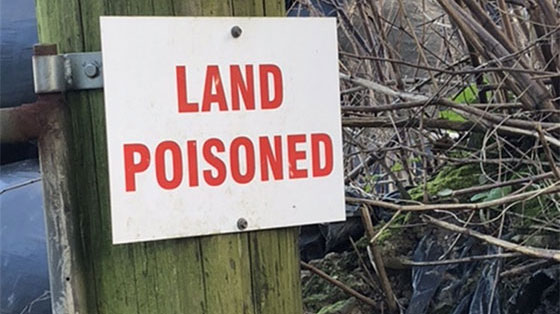 Sign saying "Land Poisoned" in potential Bill's new land.